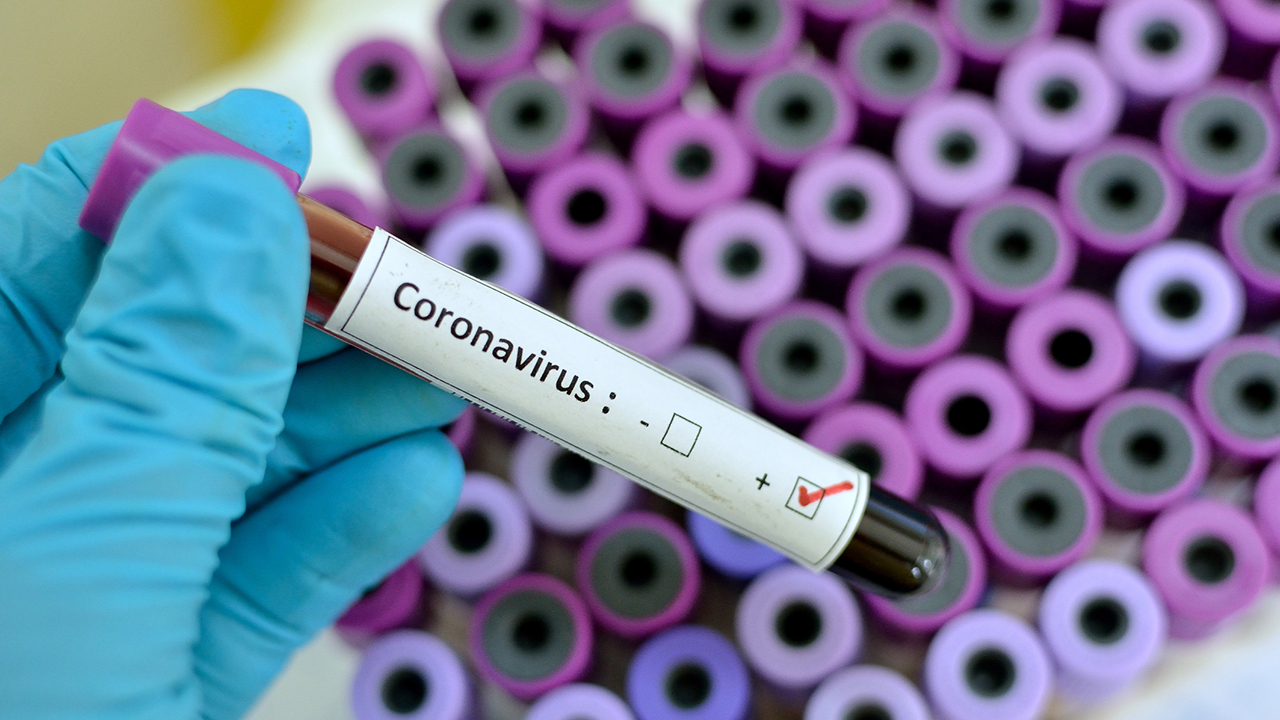 coronavirus 2