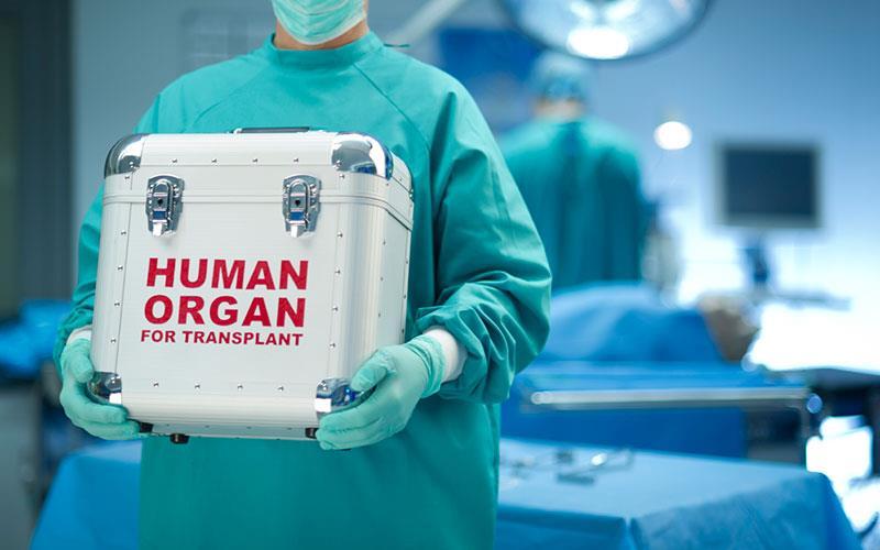 dorea organon