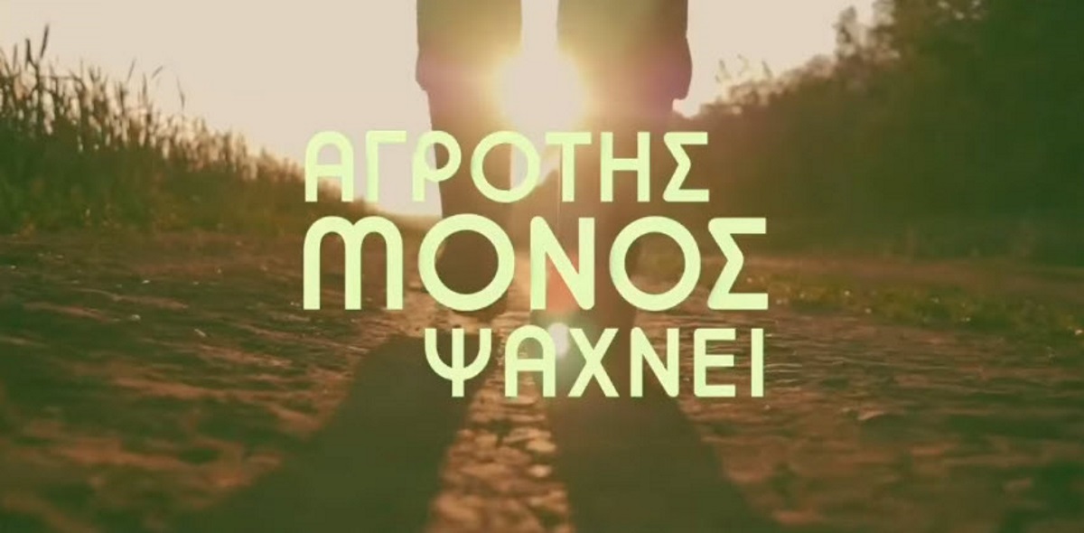 agrotis monos