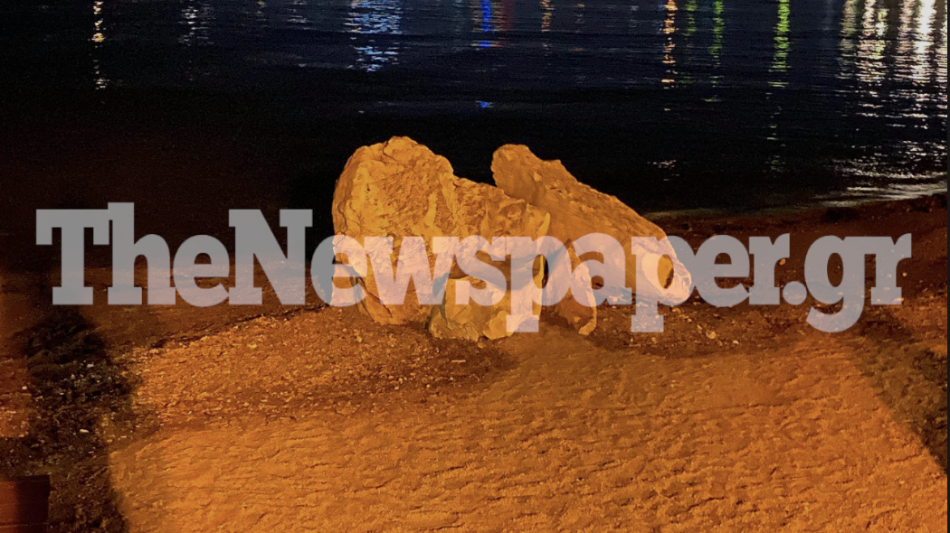 Στιγμιότυπο 2021 06 28 12.06.29 πμ
