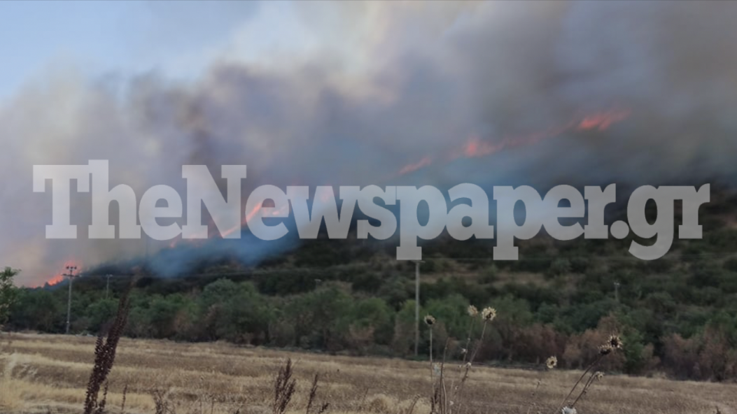 Στιγμιότυπο 2021 07 13 4.36.22 μμ