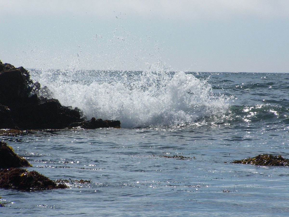 1200px Asilomar State Beach Breaking wave 01