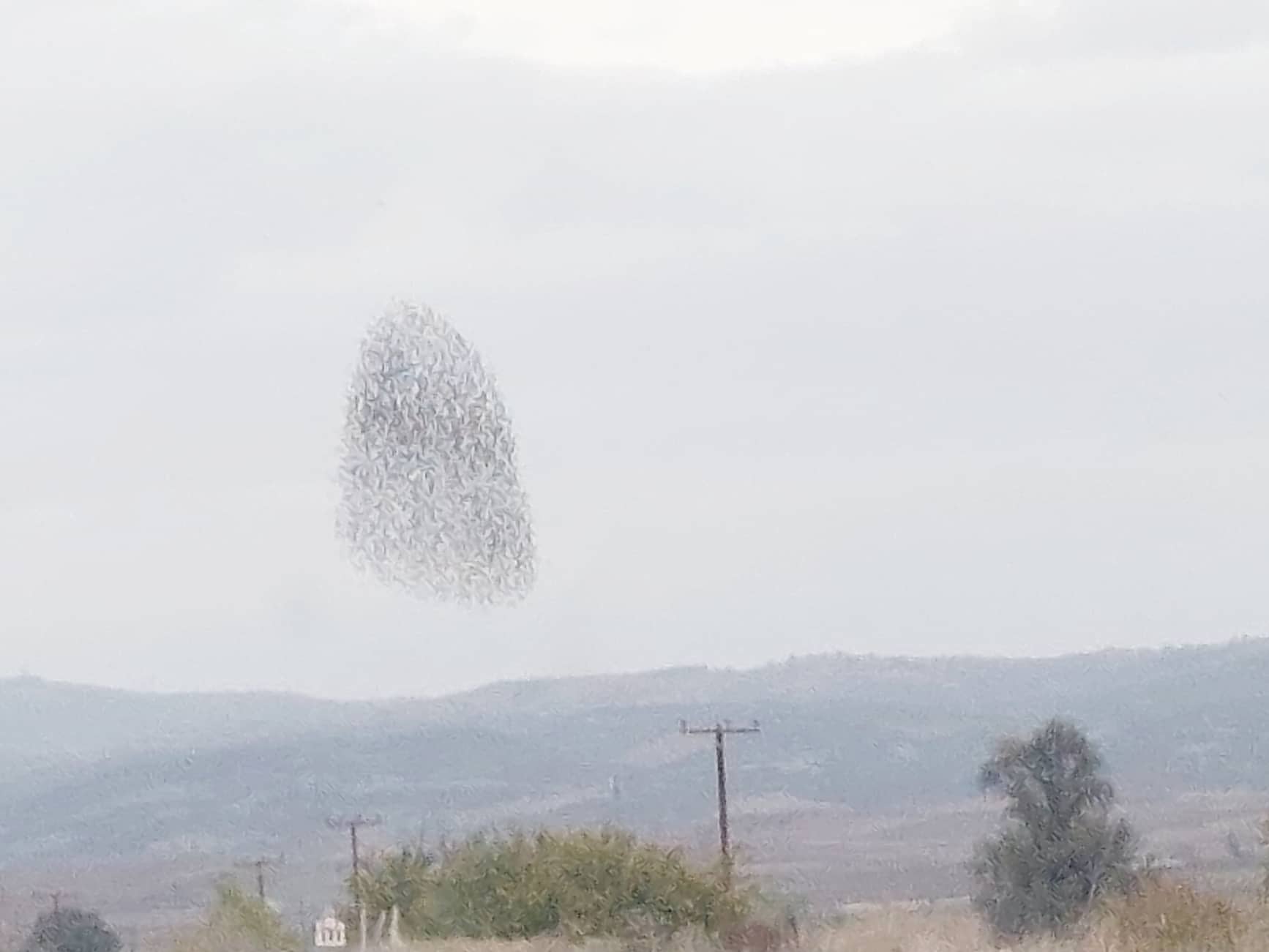 315535220 3229115984065101 8408814404733252203 n 315535220 3229115984065101 8408814404733252203 n